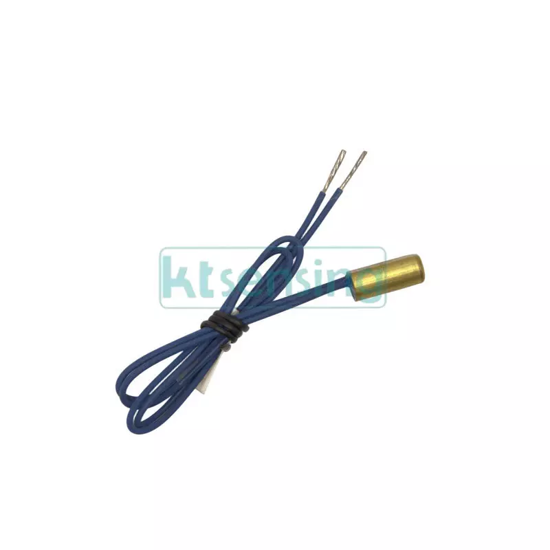 KT0100 temperature sensor 010787F for Raypak