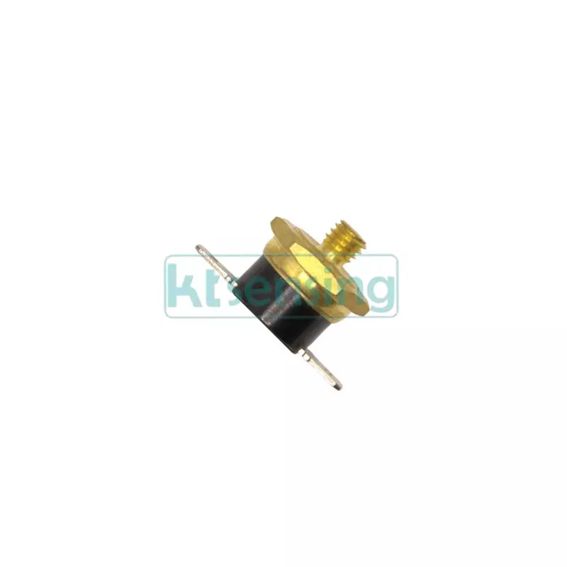 KT0060 1.021356 thermostat for Alpha boiler